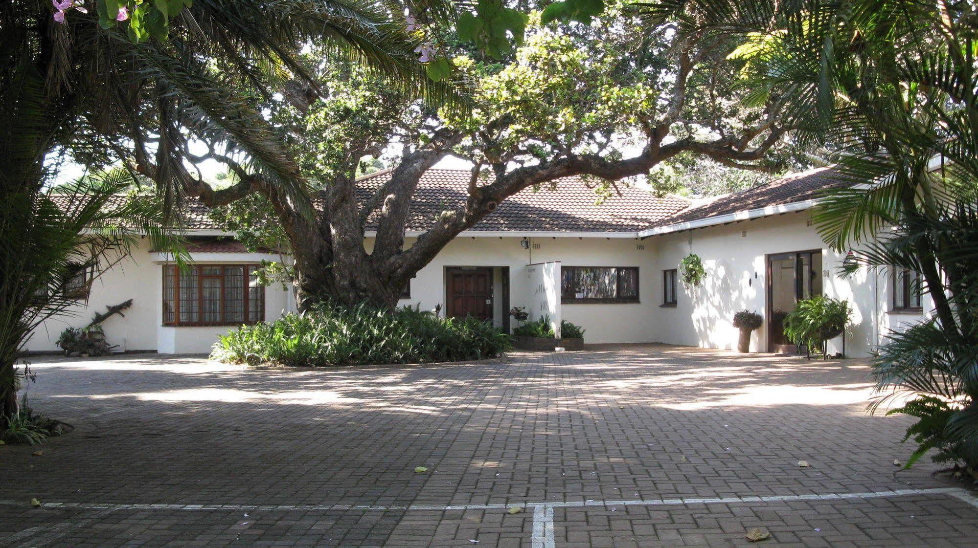 Mdoni House Guest Lodge Port Shepstone Extérieur photo